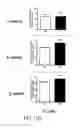 Fig. 09 - Expansion of hematopoietic stem cells