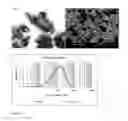 Fig. 06 - COMPOSITIONS AND METHODS FOR AUGMENTATION AND REGENERATION OF LIVING TISSUE IN A SUBJECT