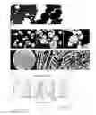 Fig. 22 - COMPOSITIONS AND METHODS FOR AUGMENTATION AND REGENERATION OF LIVING TISSUE IN A SUBJECT