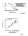 Fig. 09 - Clusterin derived peptide