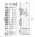 Fig. 02 - Multispecific antibodies