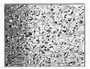 Fig. 01 - METHODS FOR DIAGNOSING AND TREATING ASTROCYTOMAS