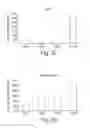 Fig. 06 - METHODS FOR DIAGNOSING AND TREATING ASTROCYTOMAS