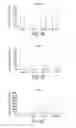 Fig. 07 - METHODS FOR DIAGNOSING AND TREATING ASTROCYTOMAS