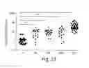 Fig. 35 - METHODS FOR DIAGNOSING AND TREATING ASTROCYTOMAS