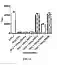 Fig. 16 - Compositions for and methods of enhancing the immune response to antigens