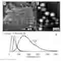 Fig. 01 - Peptidomimetic Resorbable Peptide-Polymer Hybrid Polyester Nanoparticles