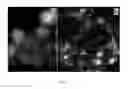 Fig. 06 - Peptidomimetic Resorbable Peptide-Polymer Hybrid Polyester Nanoparticles