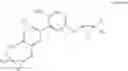 Fig. 04 - Honokiol analogs and their use in treating cancers