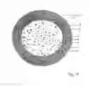 Fig. 02 - FISH FOOD CAPSULE