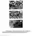 Fig. 01 - Polyamide rate-modulated monolithic drug delivery system