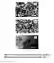 Fig. 09 - Polyamide rate-modulated monolithic drug delivery system