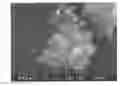 Fig. 01 - CALCIUM PHOSPHATE COMPOSITION AND PROCESS FOR PRODUCTION THEREOF