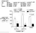 Fig. 01 - METHOD AND COMPOSITION FOR TREATING PULMONARY HEMORRHAGE