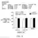 Fig. 07 - METHOD AND COMPOSITION FOR TREATING PULMONARY HEMORRHAGE