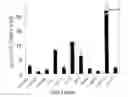 Fig. 01 - Method for determination of sensitivity to anti-cancer agent