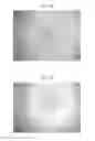 Fig. 08 - METHODS AND THERAPEUTIC COMPOSITIONS COMPRISING PLANT EXTRACTS FOR THE TREATMENT OF CANCER