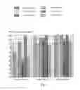 Fig. 06 - Non-etching non-resist adhesion composition and method of preparing a work piece