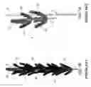 Fig. 02 - Takedown artificial tree