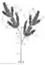 Fig. 06 - Takedown artificial tree