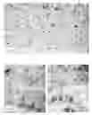 Fig. 01 - Ceramic composite thin films