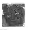 Fig. 01 - FeRh-FePt core shell nanostructure for ultra-high density storage media