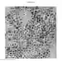 Fig. 12 - FeRh-FePt core shell nanostructure for ultra-high density storage media