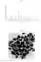 Fig. 02 - A METHOD FOR PREPARING A PARTICULATE CATHODE MATERIAL, AND THE MATERIAL OBTAINED BY SAID METHOD