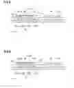 Fig. 06 - Substrate treatment system, substrate treatment method, and computer readable storage medium