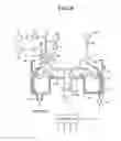 Fig. 09 - DEVELOPING APPARATUS AND METHOD