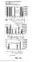 Fig. 02 - HETERODUPLEX TRACKING ASSAY