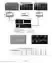 Fig. 03 - METHODS AND COMPOSITIONS FOR IDENTIFYING CELLS BY COMBINATORIAL FLUORESCENCE IMAGING