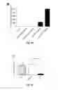 Fig. 05 - MicroRNA Expression Profiling and Targeting in Peripheral Blood in Lung Cancer