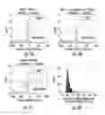 Fig. 07 - Methods, systems and kits for detecting protein-nucleic acid interactions