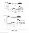 Fig. 08 - STROMAL INTERACTING MOLECULE KNOCKOUT MOUSE AND USES THEREOF