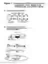 Fig. 02 - Baculoviruses with enhanced virion production and a method for the production of baculoviruses