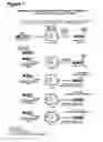 Fig. 08 - Baculoviruses with enhanced virion production and a method for the production of baculoviruses