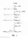 Fig. 02 - MUTANT DNA POLYMERASES AND METHODS OF USE