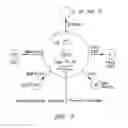 Fig. 02 - MODULATION OF THE PHOSPHATIDYLINOSITOL-3-KINASE PATHWAY IN THE DIFFERENTIATION OF HUMAN EMBRYONIC STEM CELLS