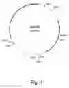 Fig. 02 - Methods for producing biological substances in enzyme-deficient mutants of 