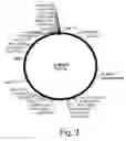Fig. 04 - Methods for producing biological substances in enzyme-deficient mutants of 