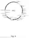 Fig. 05 - Methods for producing biological substances in enzyme-deficient mutants of 