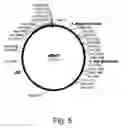 Fig. 06 - Methods for producing biological substances in enzyme-deficient mutants of 