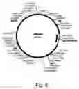 Fig. 07 - Methods for producing biological substances in enzyme-deficient mutants of 
