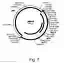 Fig. 08 - Methods for producing biological substances in enzyme-deficient mutants of 
