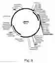 Fig. 09 - Methods for producing biological substances in enzyme-deficient mutants of 