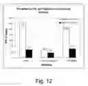 Fig. 13 - Methods for producing biological substances in enzyme-deficient mutants of 