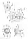 Fig. 07 - Switch mechanism for a power cutter