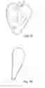 Fig. 02 - Device and method for bringing into position and arranging a carcass or carcass part of slaughtered poultry on or in a product carrier
