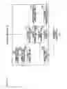 Fig. 49 - COMMUNICATION METHOD AND, TERMINAL APPARATUS AND BASE STATION APPARATUS USING THE METHOD